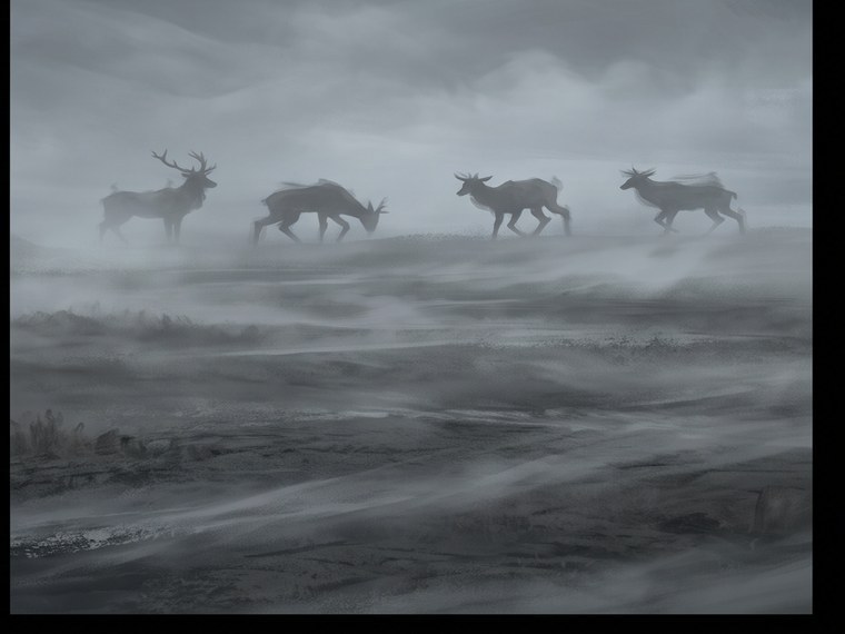 Vier gewöhnliche Hirsche stehen im Nebel